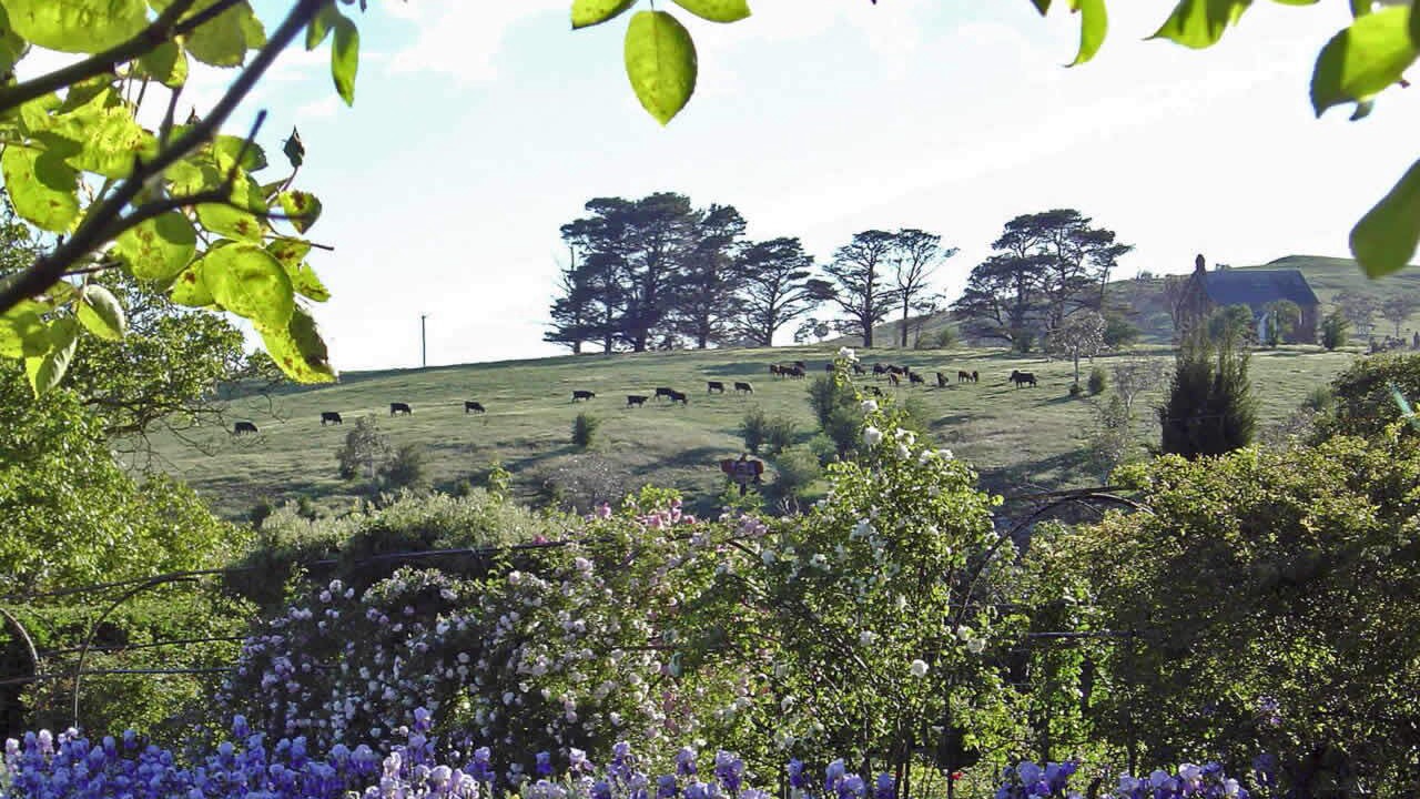 Photo of Outdoor in Parkesbourne
