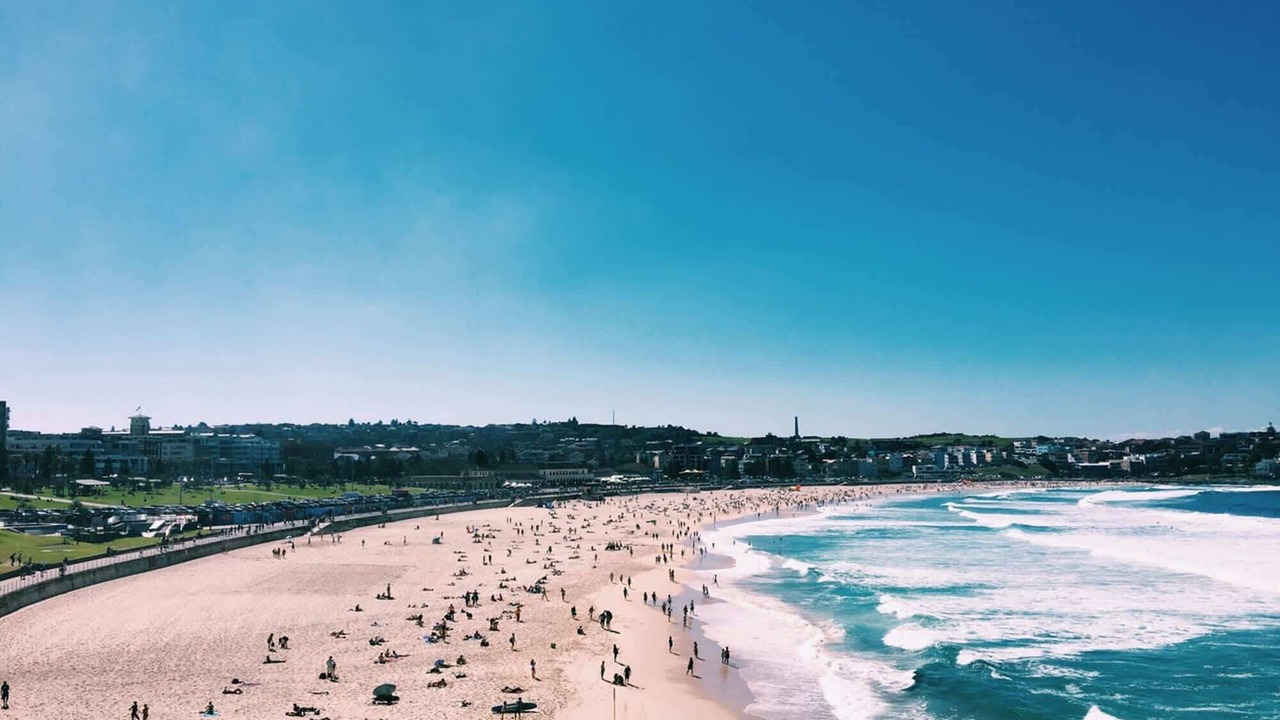 Photo of Others in Bronte