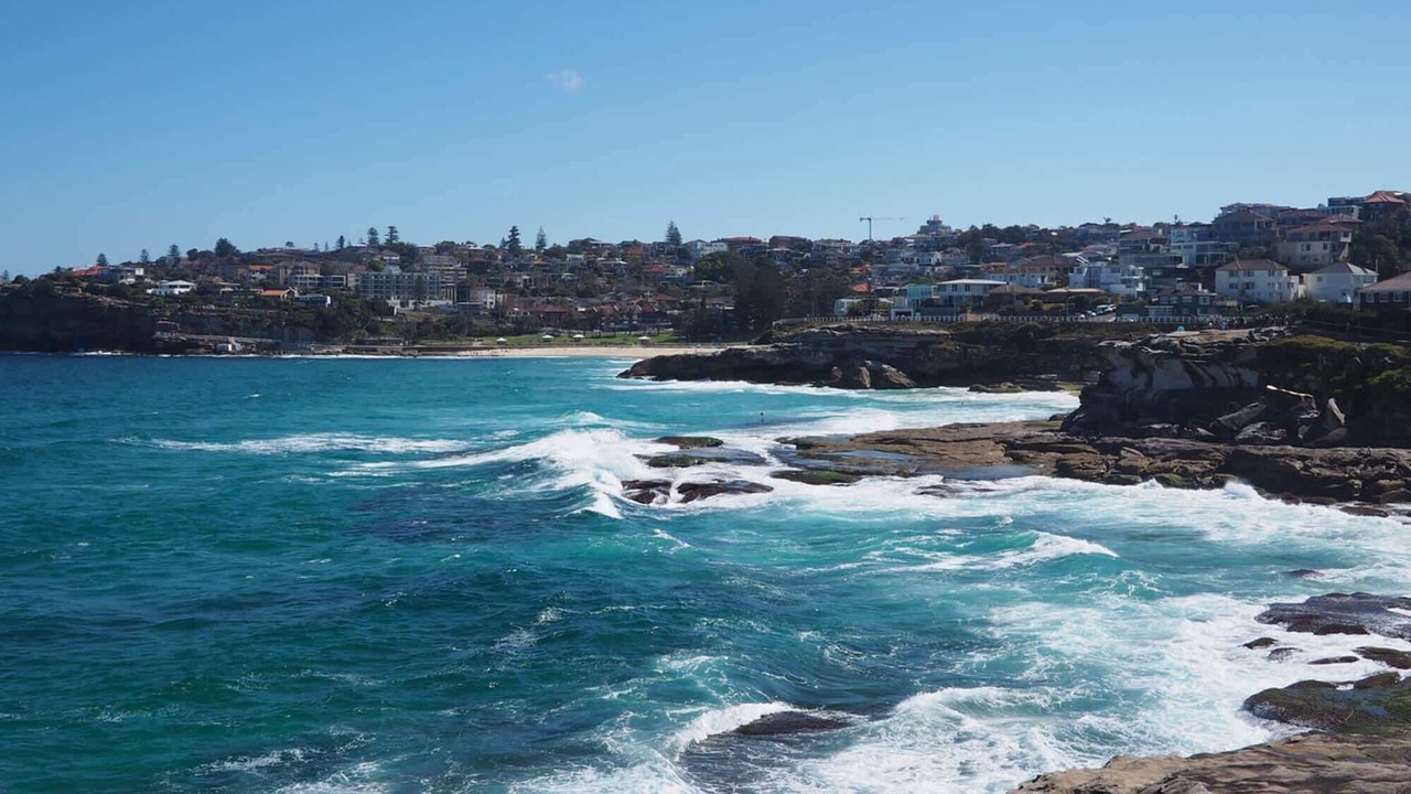 Photo of Others in Bronte