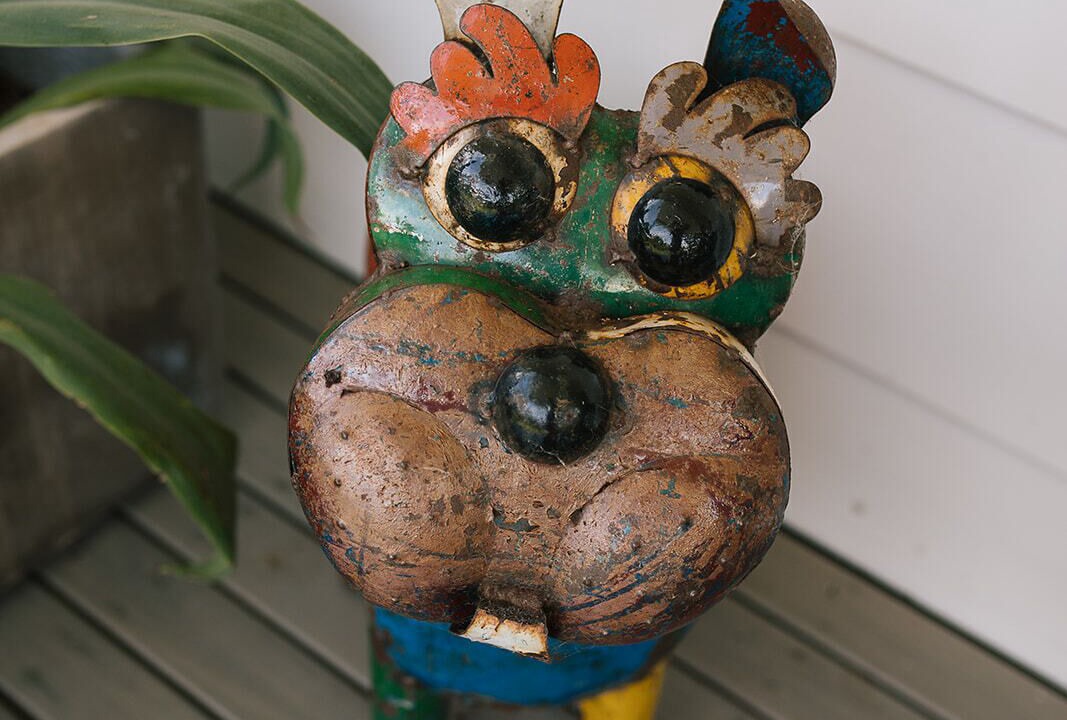 Photo of Others in Terrigal
