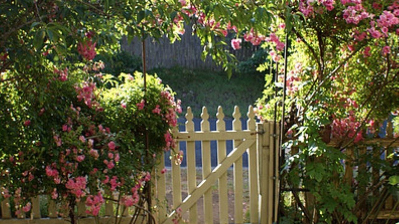Photo of Outdoor in Mount Victoria