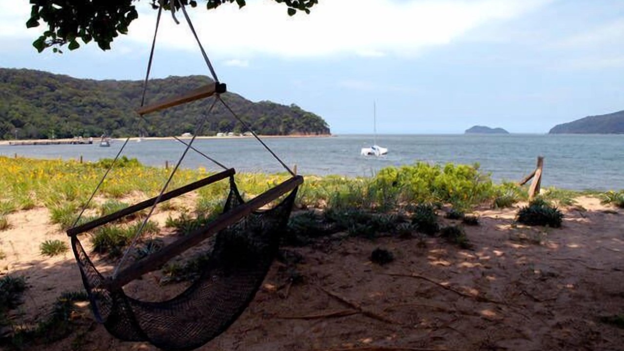 Photo of Others in Patonga