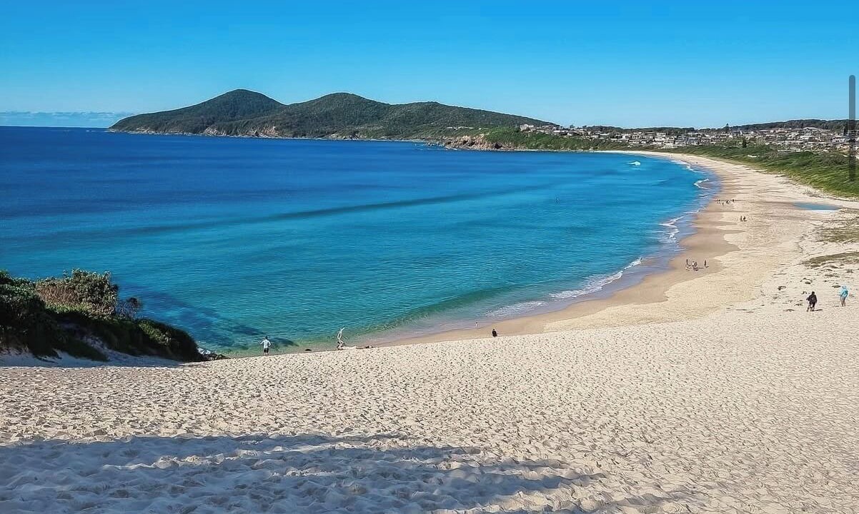 Photo of Others in Forster
