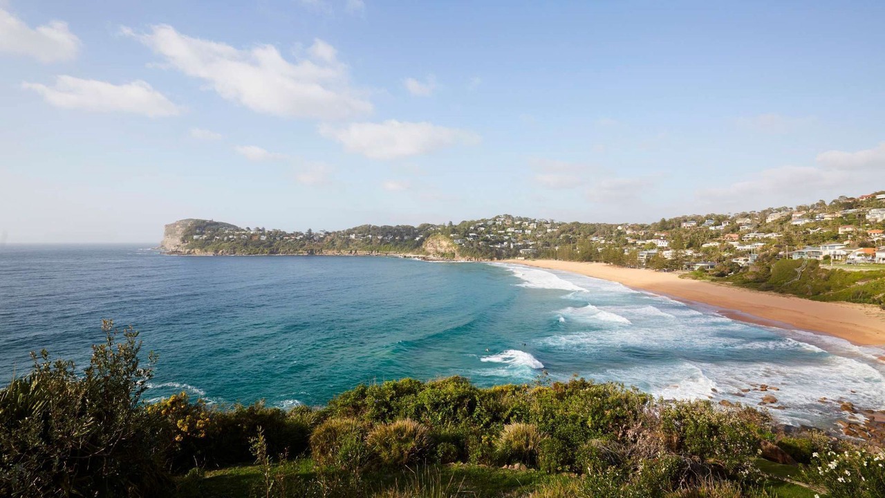 Photo of Others in Whale Beach