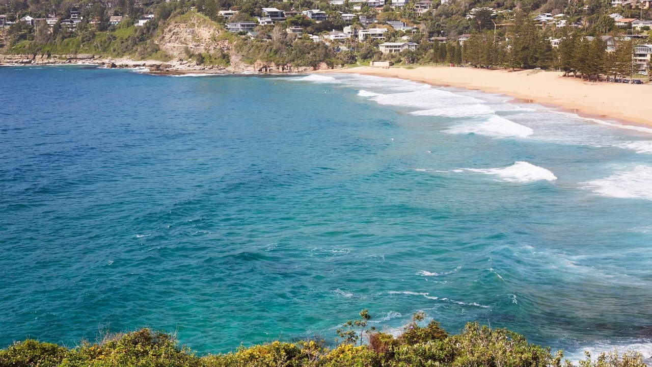 Photo of Others in Whale Beach