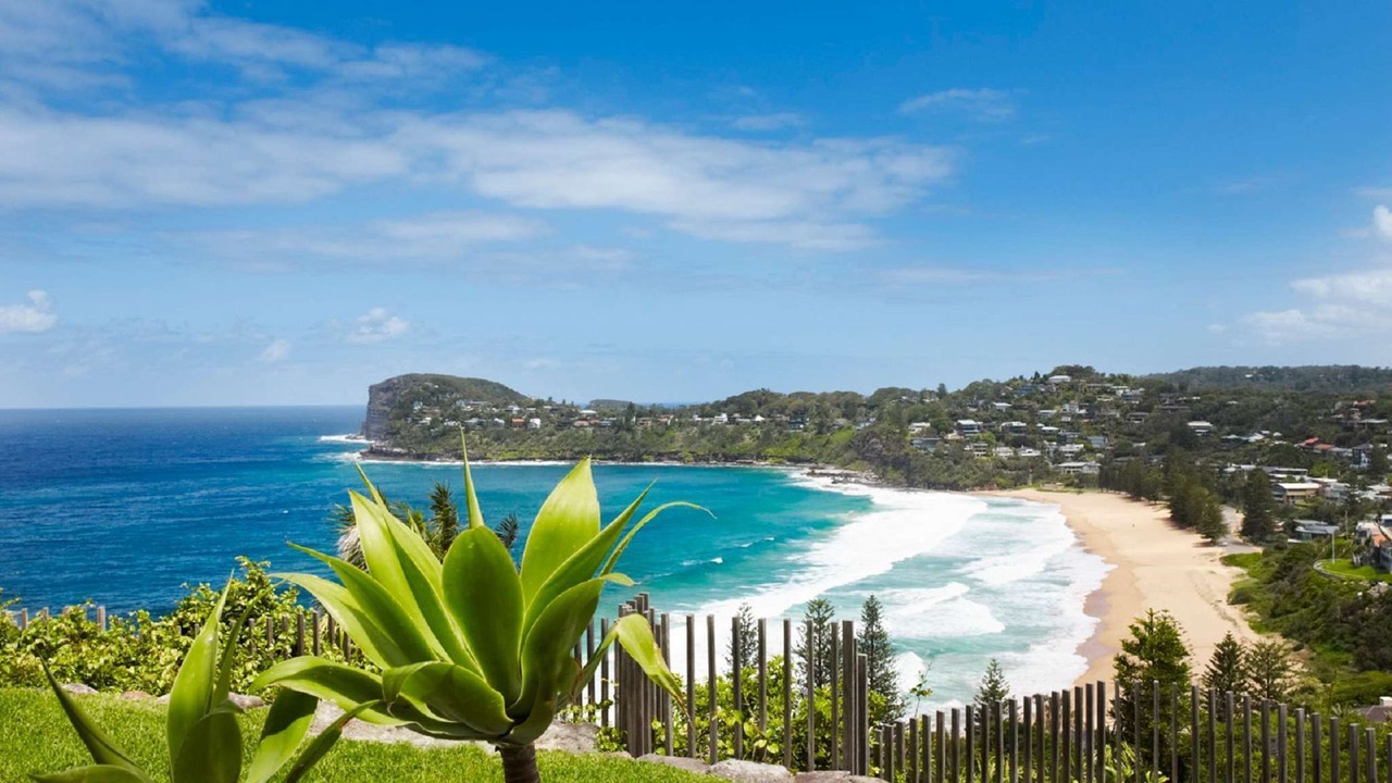 Photo of Others in Whale Beach