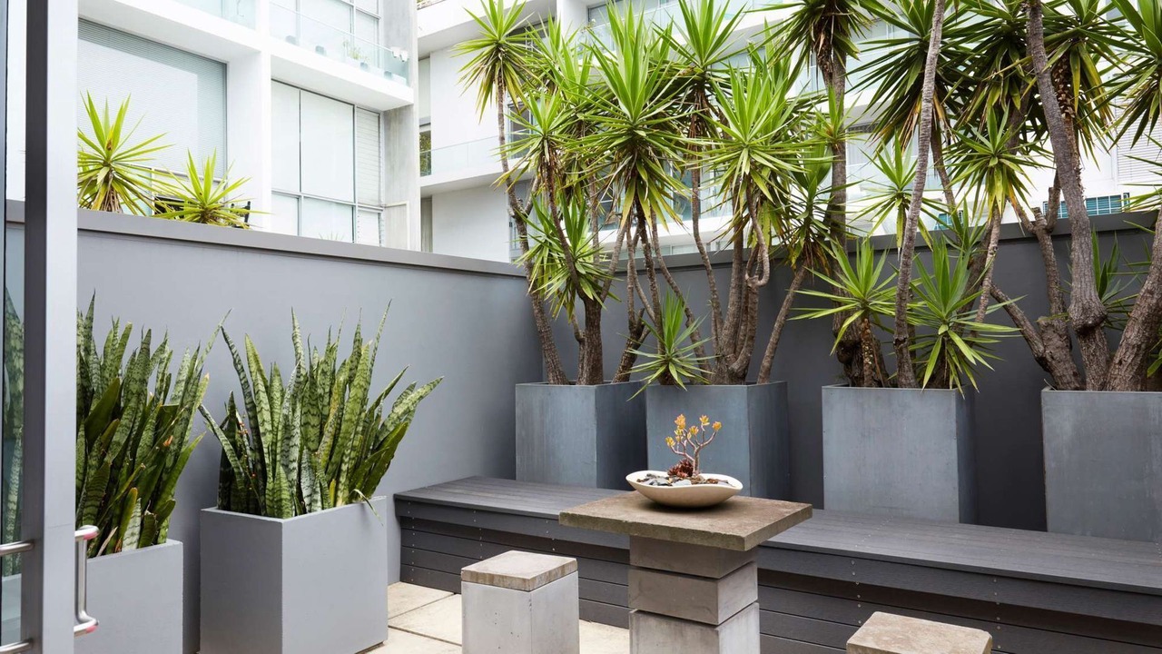 Photo of Outdoor in Darlinghurst