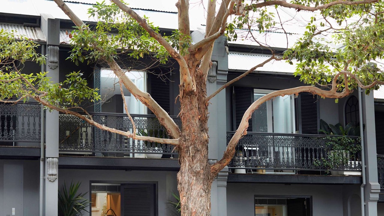 Photo of Outdoor in Darlinghurst