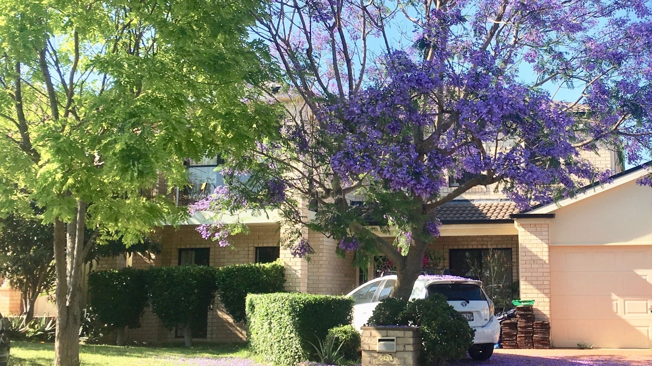 Photo of Outdoor in Prestons