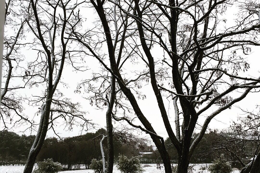 Photo of Outdoor in Laggan