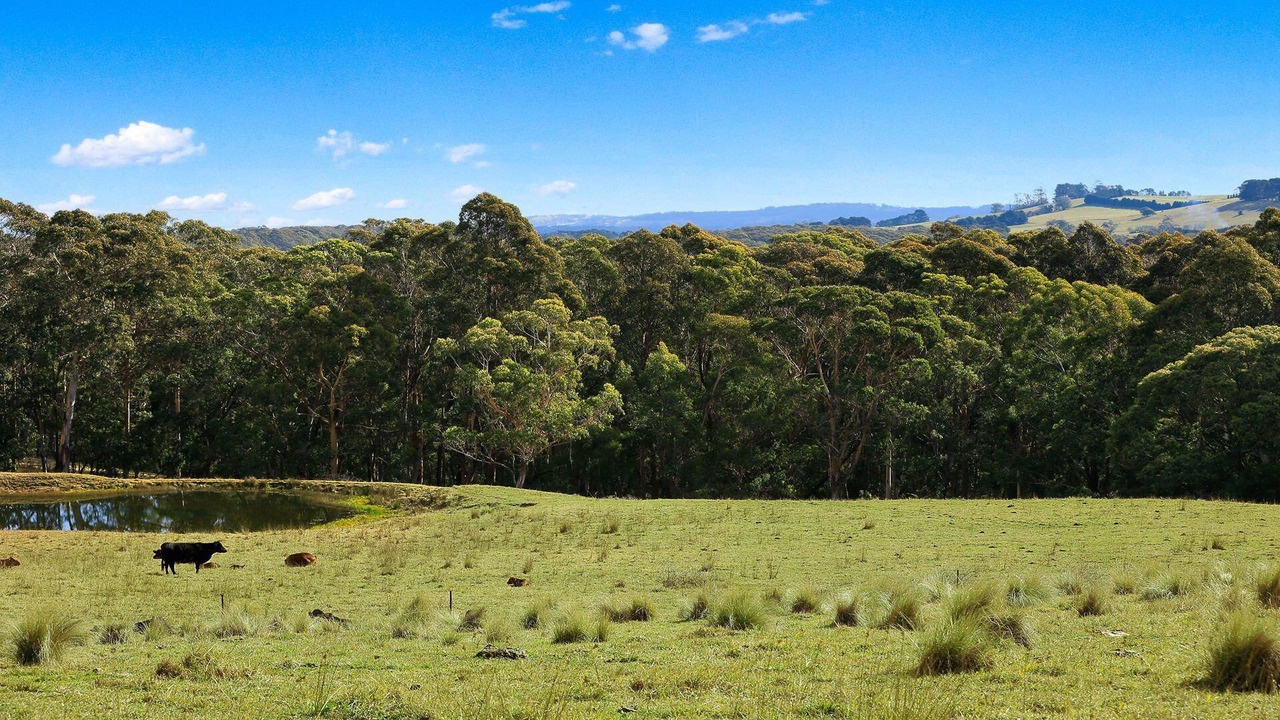 Photo of Outdoor in Kangaloon