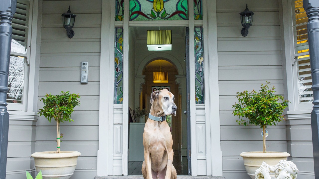 Photo of Outdoor in Mosman