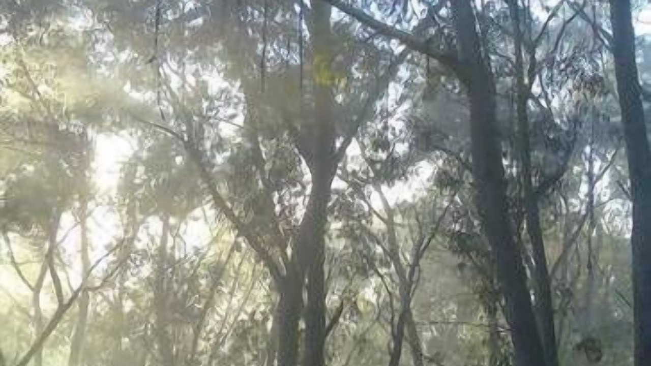 Photo of Others in Wentworth Falls