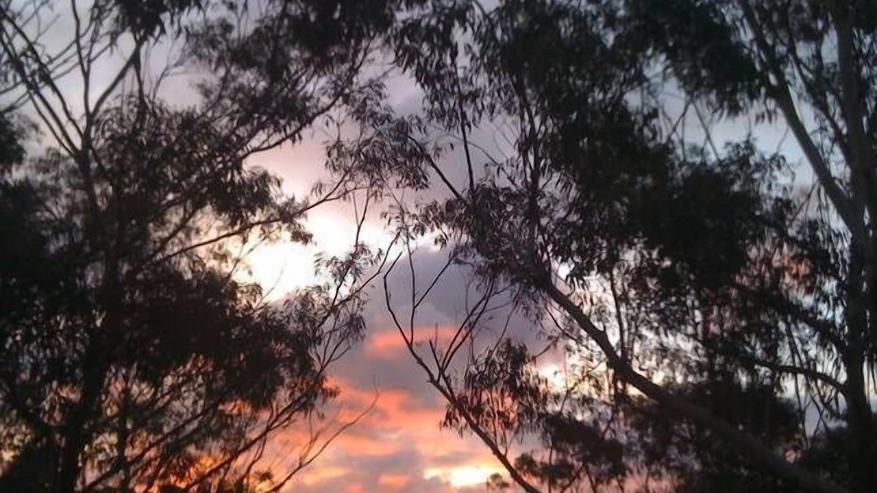 Photo of Others in Wentworth Falls
