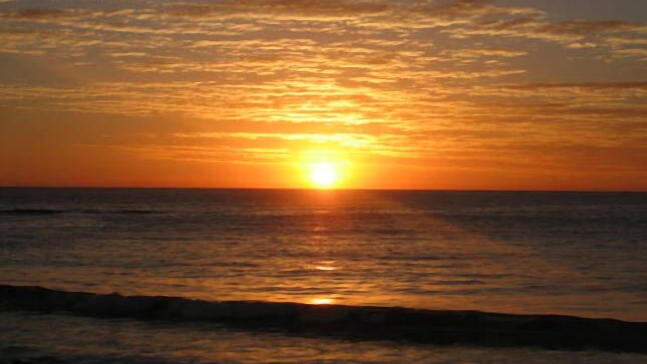 Photo of Others in Bulli