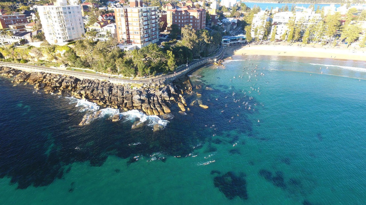 Photo of Others in Manly