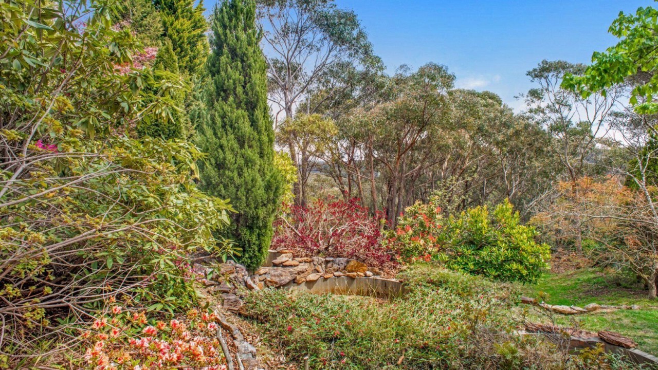 Photo of Others in Wentworth Falls