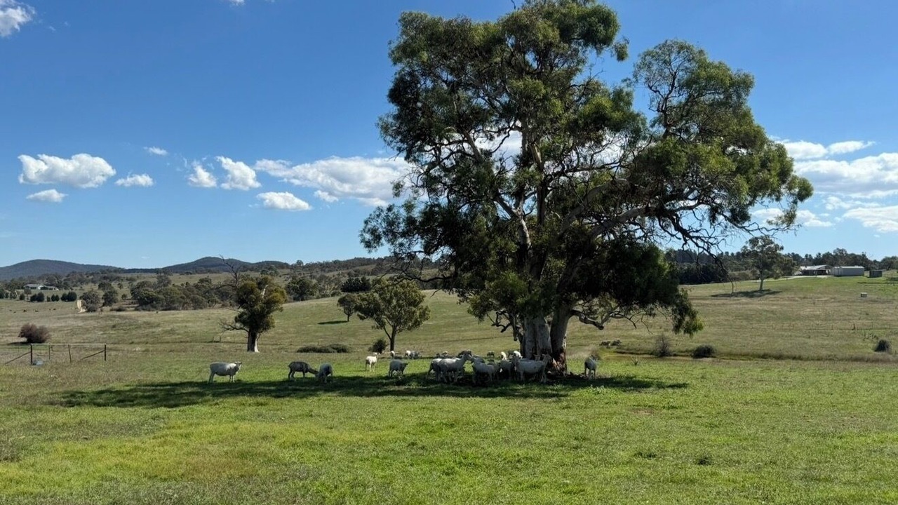 Photo of Others in Kingsdale