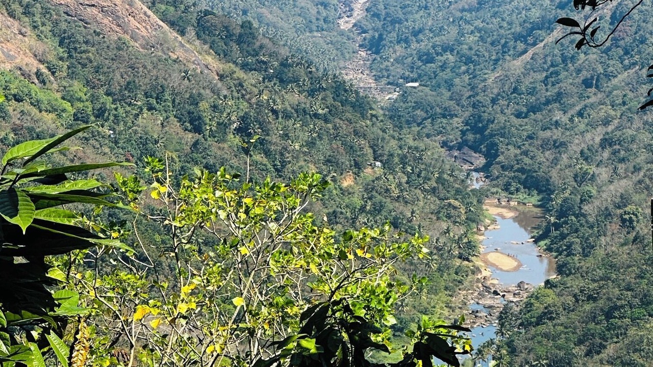 Photo of Others in Todupulai