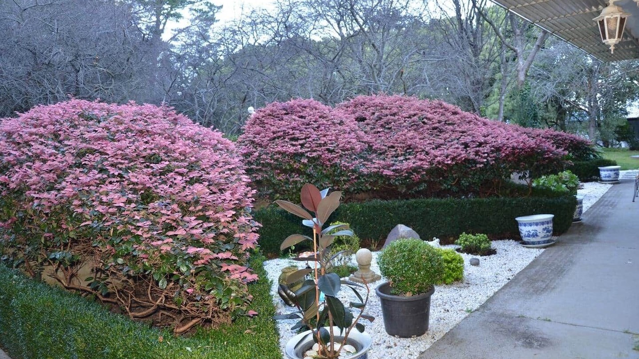 Photo of Outdoor in Bowral
