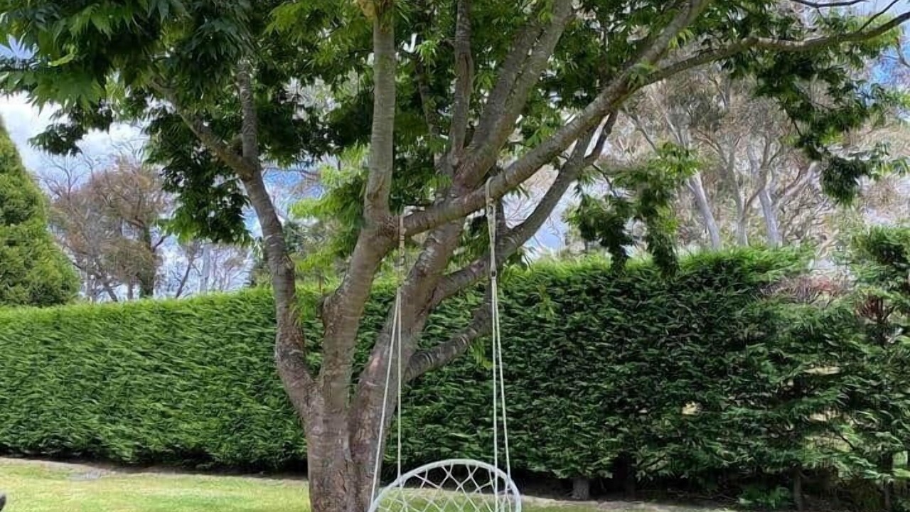 Photo of Outdoor in Medway