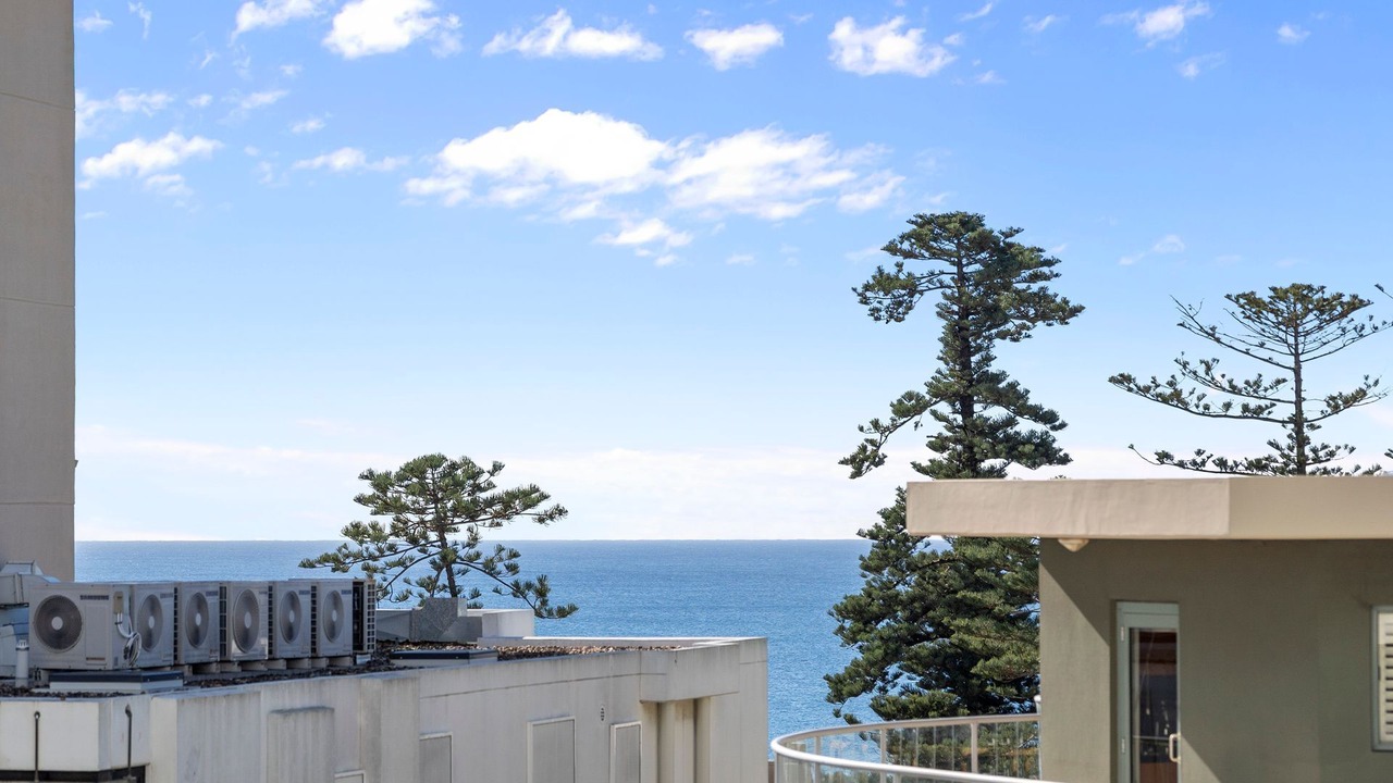 Photo of Others in Manly