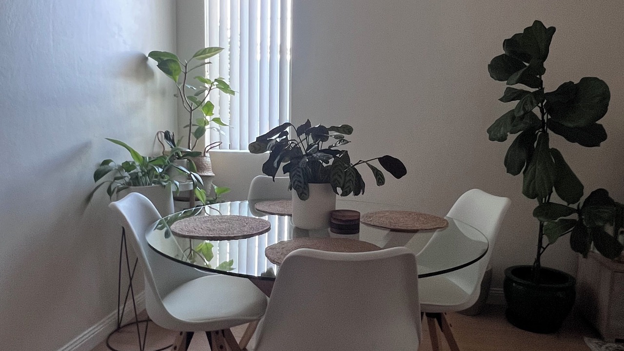 Photo of Others in Cammeray