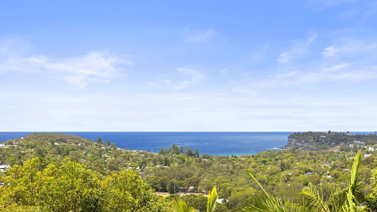 Photo of Others in Whale Beach