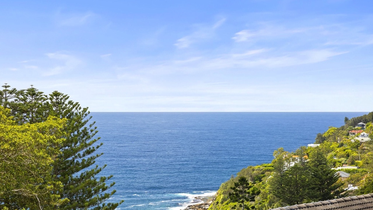 Photo of Others in Whale Beach