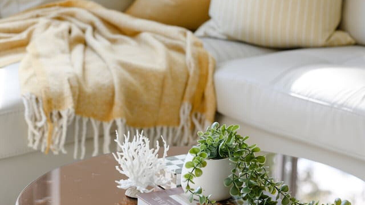 Photo of Livingroom in Collaroy