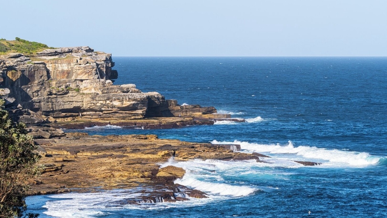 Photo of Others in Little Bay
