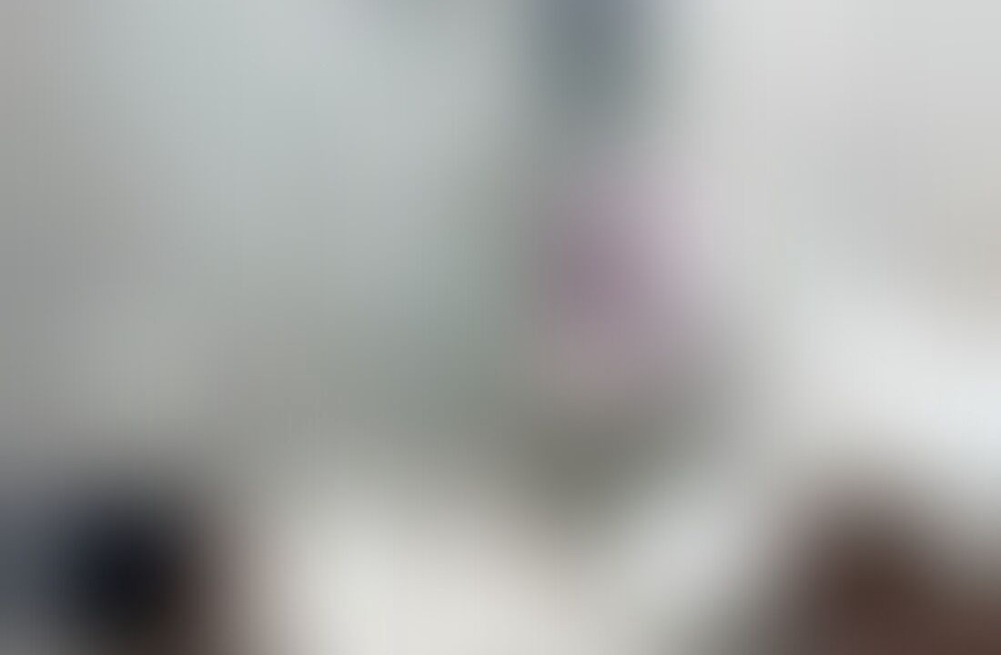 Photo of Others in Bellevue Hill