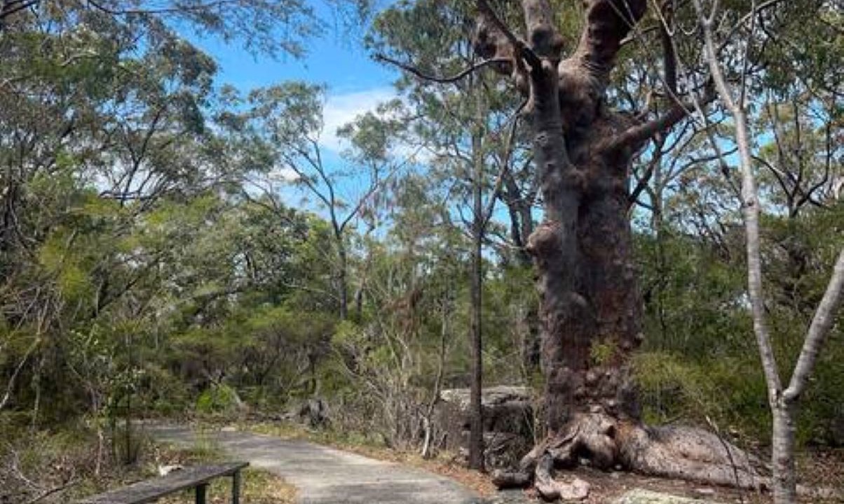 Photo of Others in Heathcote