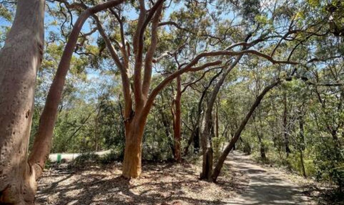 Photo of Others in Heathcote