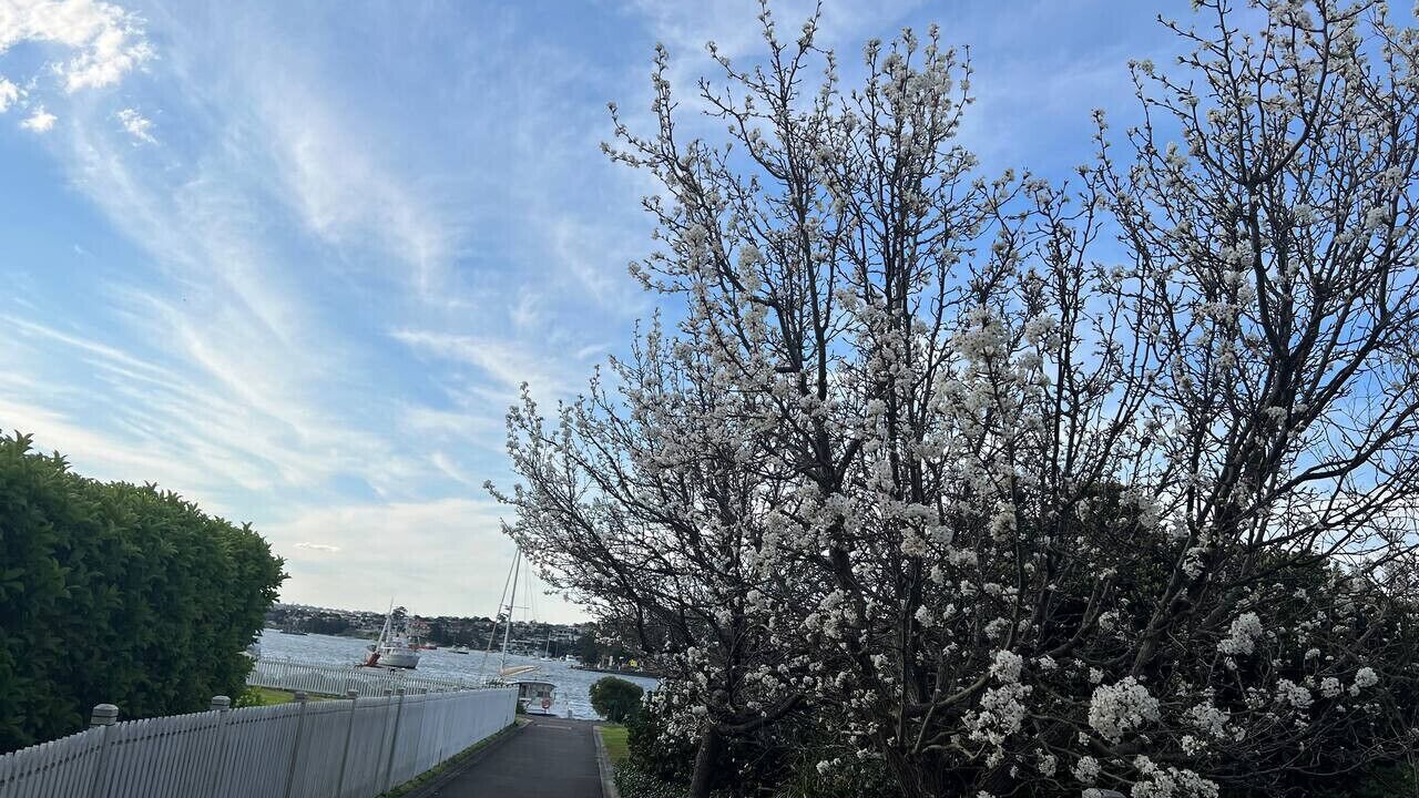 Photo of Outdoor in Mortlake