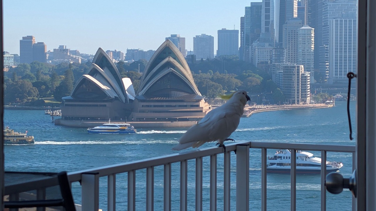 Photo of Outdoor in Milsons Point
