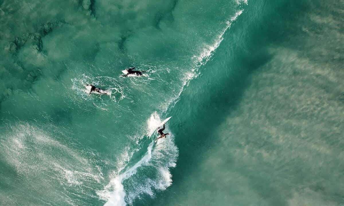 Photo of Others in Bondi Junction