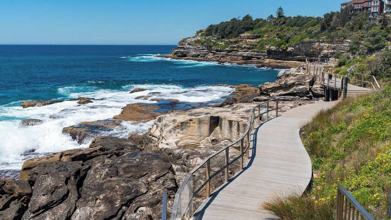 Photo of Others in North Bondi