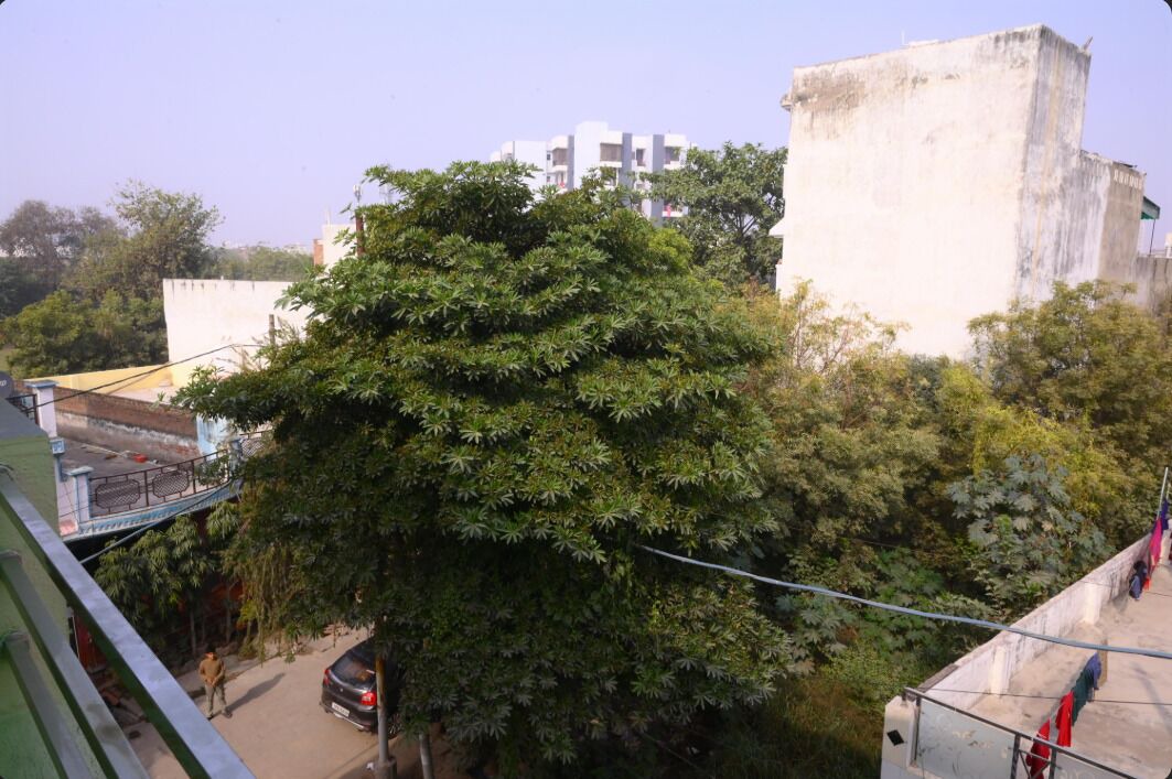 Photo of Outdoor in Agra