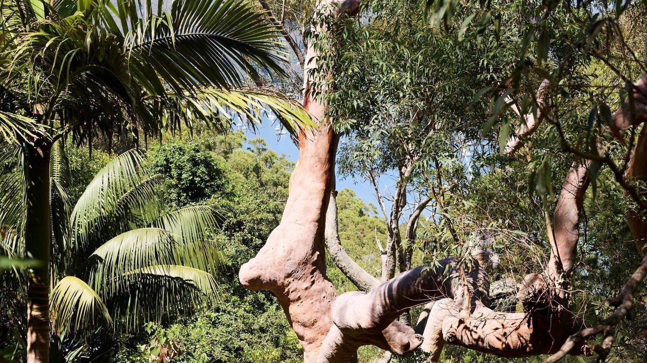 Photo of Others in Palm Beach