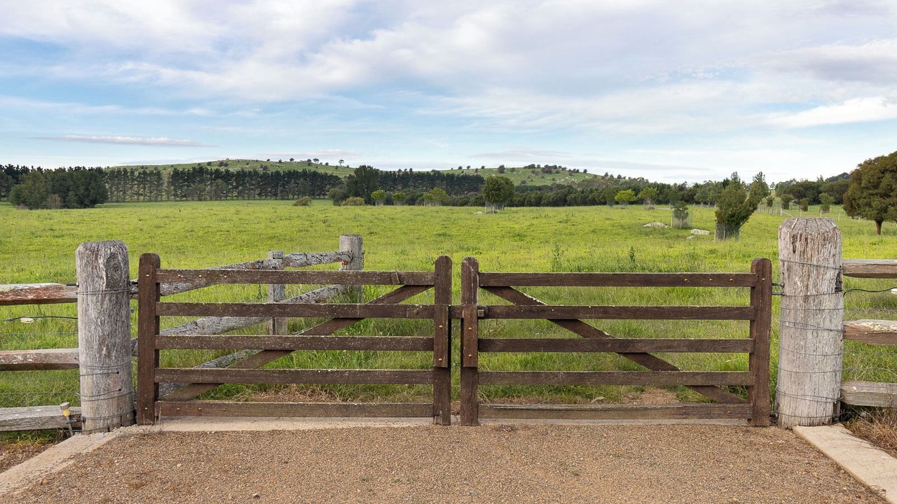 Photo of Others in Braidwood