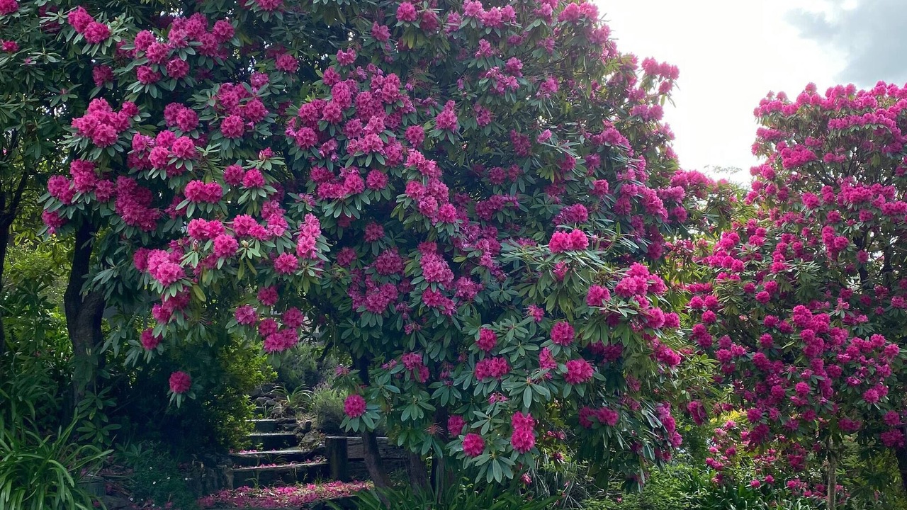 Photo of Outdoor in Blackheath