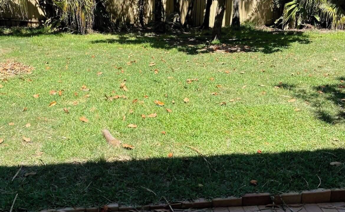 Photo of Outdoor in Cronulla