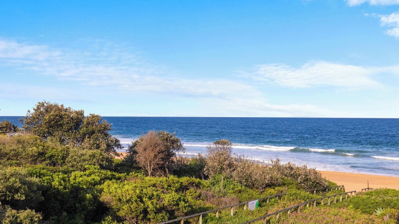 Photo of Others in Narrabeen