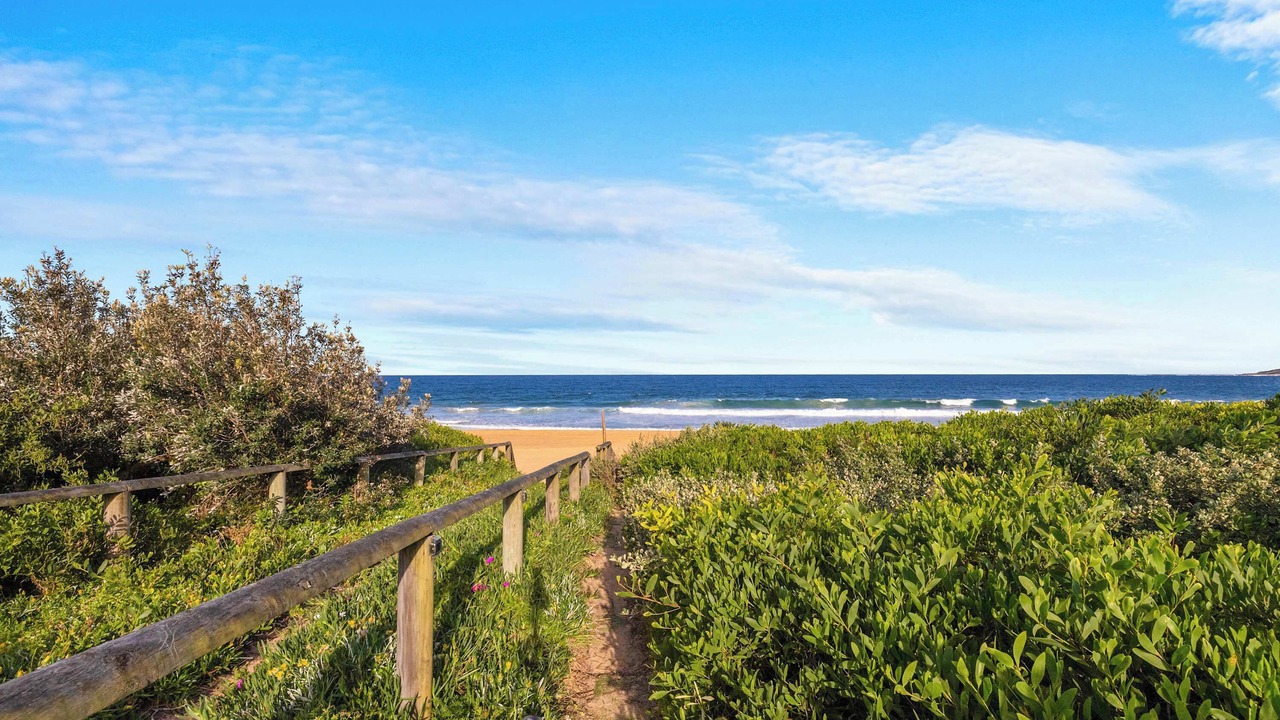 Photo of Others in Narrabeen