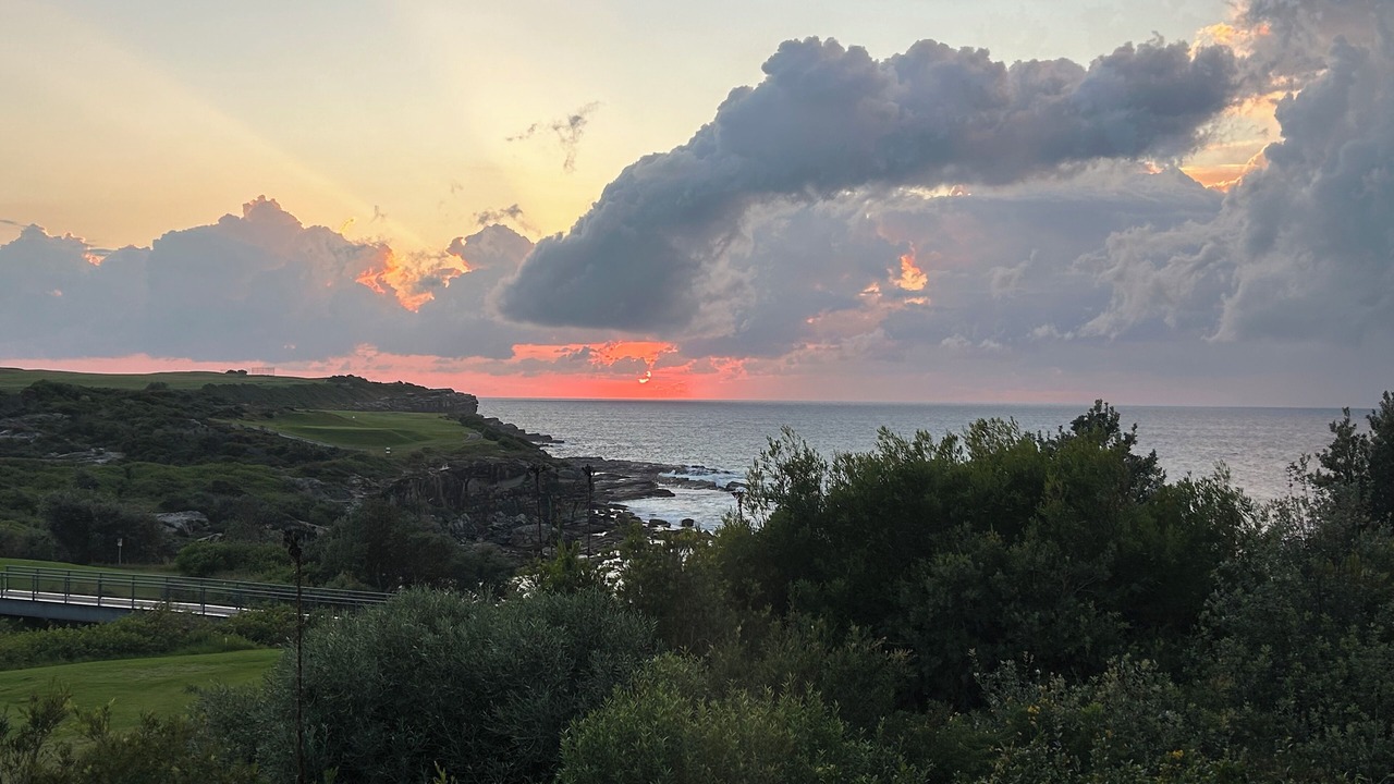 Photo of Others in Little Bay