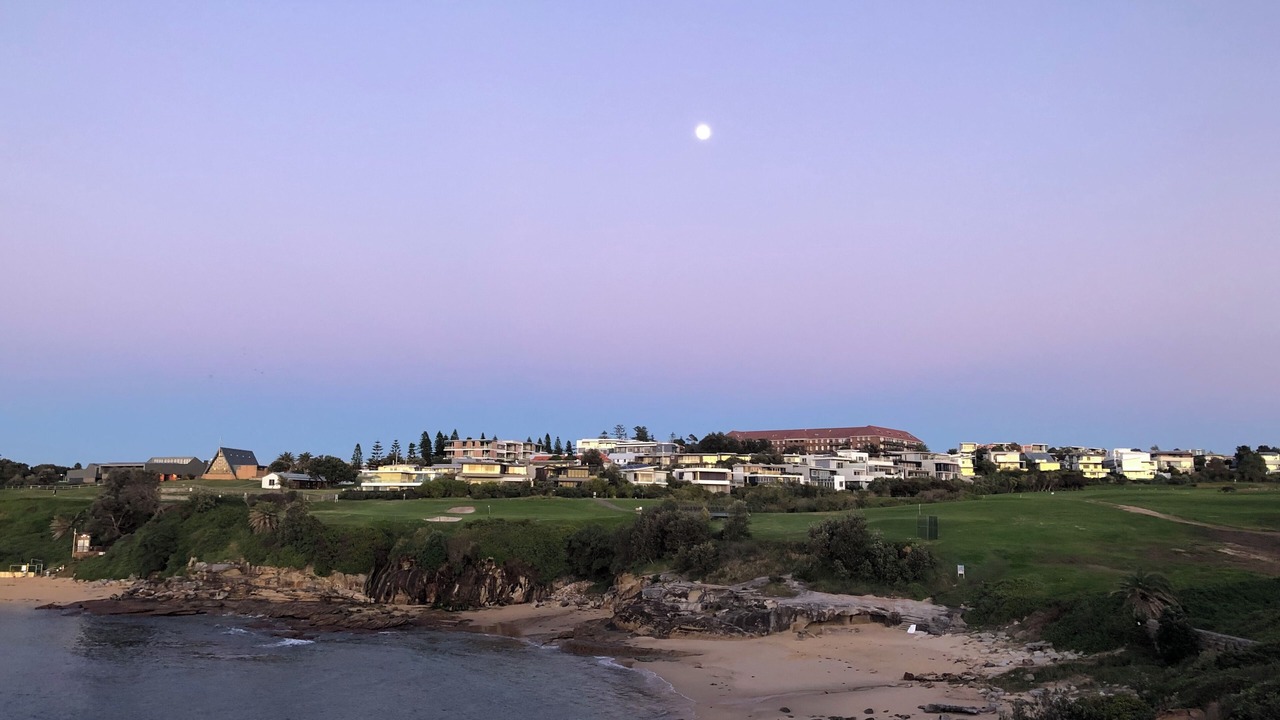 Photo of Others in Little Bay
