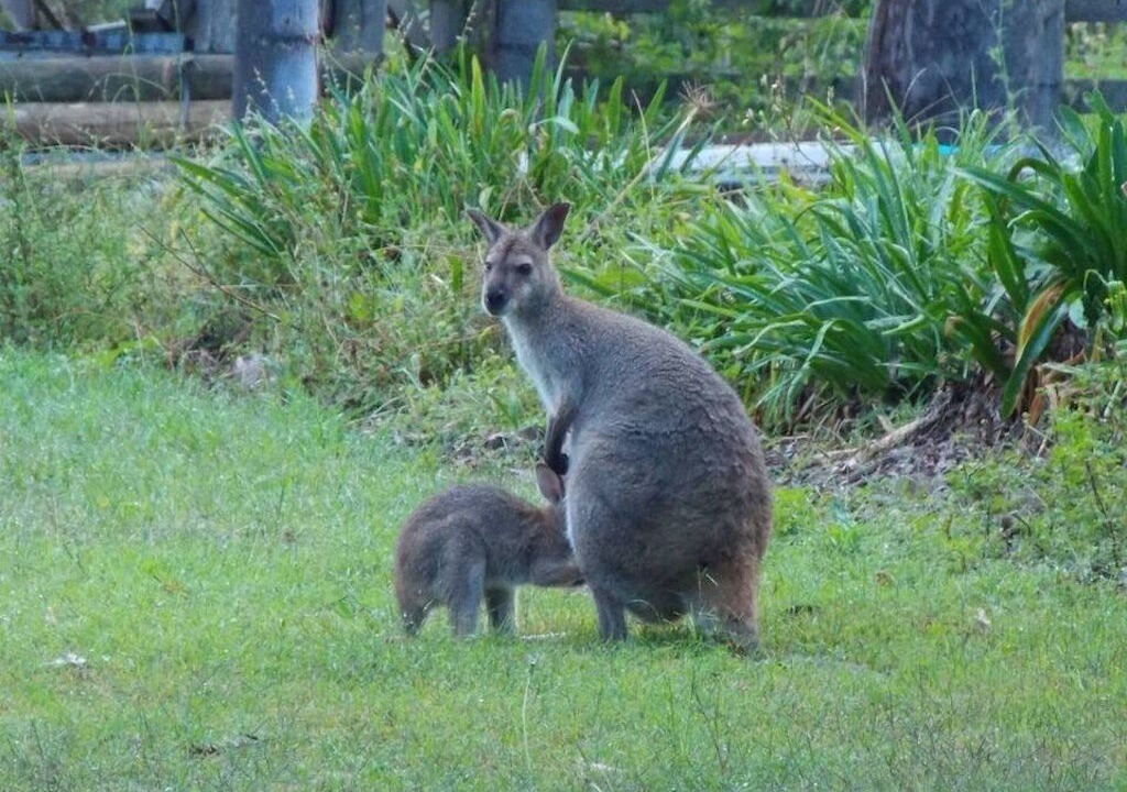 Photo of Others in Mount George