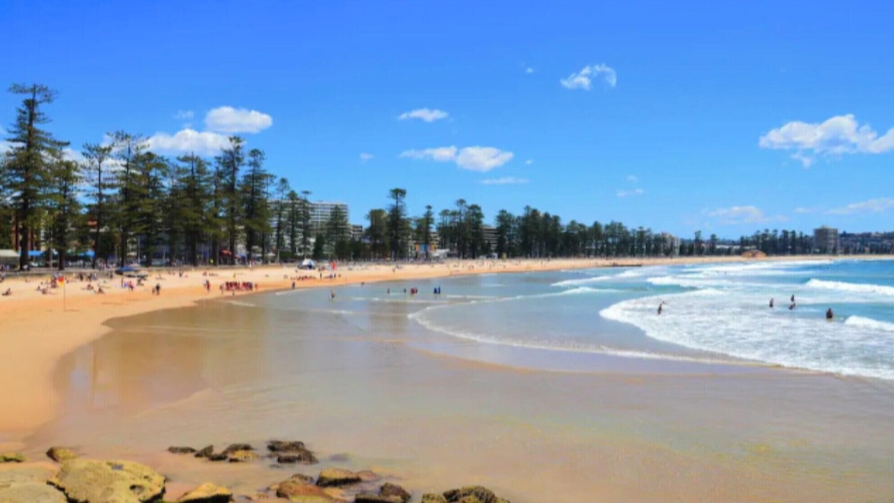 Photo of Others in Manly