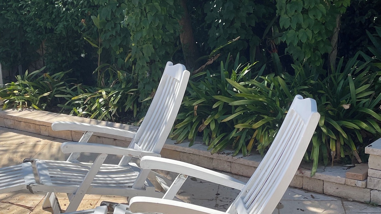 Photo of Others in Avalon Beach